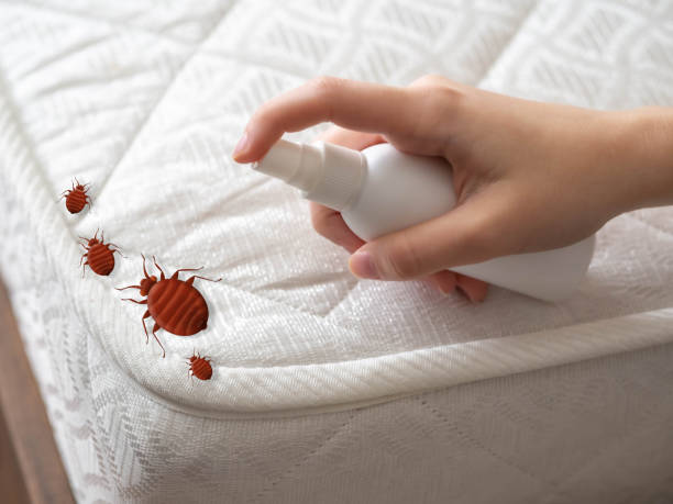 Best Residential Pest Control  in Siloam Springs, AR